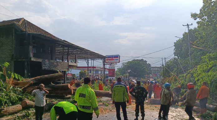 Pohon Tumbang Tutup Akses Jalan di Subang Pohon Tumbang Akibat Hujan Deras dan Angin Puting Beliung
