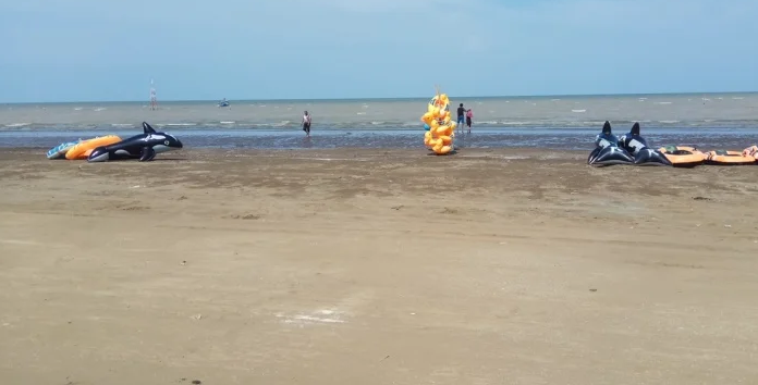 Destinasi Menarik untuk Berlibur Wisata Pesisir Karawang, Pantai Pasir Putih di Desa Sukajaya, Sumber Image Credit: Google Maps Wasis Yuliyanto