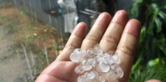 Peristiwa Hujan Es Terjadi di Kota Depok, Jawa Barat Warga mengumpulkan butiran es saat terjadi fenomena hujan es di Kota Depok