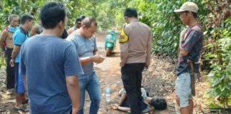 Kejadian Tragis di Purwadadi Subang, Seorang Suami Nekat Menusuk Istrinya Hingga Bersimbah Darah Kejadian Tragis di Purwadadi Subang, Seorang Suami Nekat Menusuk Istrinya Hingga Bersimbah Darah