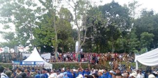 Warga Antusias Meriahkan Peringatan Hari Desa di Subang Warga memadati lokasi peringatan Hari Desa (foto Dwiky Maulana Vellayati/detikJabar)