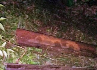 Dua Pelaku Pencurian Rel Kereta Api Ditangkap di Subang PENCURIAN REL KERETA - Rel kereta api yang dicuri oleh dua pria petak jalan Stasiun Pegadenbaru–Cikaum, tepatnya di Kampung Sinarkasih, RT 20 RW 06, Kecamatan Pegadenbaru, Kabupaten Subang, pada Senin (10/2/2025)