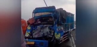 Dua Orang Tewas dalam Kecelakaan Dua Truk di Tol Cipali KM 87.600 Truk muatan ikan tabrak tronton di tol Cipali Subang. (Foto: Istimewa)