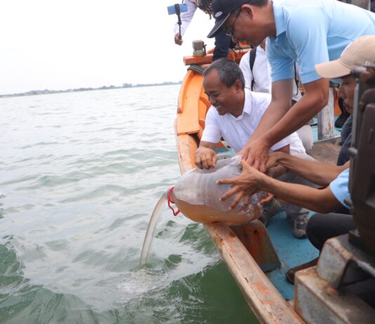 Pemprov Jawa Barat Tebar 1 Juta Benih Rajungan di Indramayu Benih Rajungan