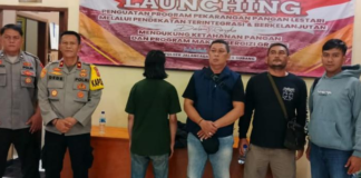 Gubernur Jabar Dedi Mulyadi Apresiasi Penangkapan Oknum Aktivis Diduga Lakukan Pungli ke Pedagang Nanas Jalancagak Terduga pelaku pungli berinisial MH saat diamankan di Mapolsek Jalancagak, Polres Subang.