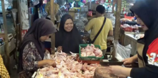 Harga Ayam di Pasar Tradisional Purwakarta Melonjak Jelang Nataru 2026 Harga ayam potong di Pasar Rebo Purwakarta naik signifikan menjelang Natal dan Tahun Baru 2026. Kondisi ini dikeluhkan, baik oleh pembeli maupun pedagang.(Pasundan Ekspres)
