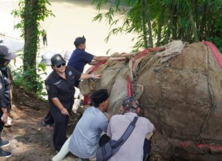 Prasasti Muara Cianten Awal Mula Sejarah Nusantara