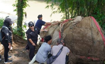 Prasasti Muara Cianten Awal Mula Sejarah Nusantara