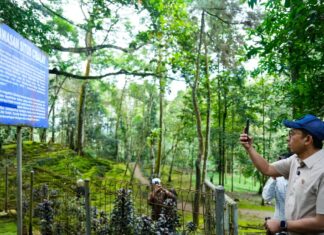 Jejak Peradaban Situs Cibalay Tinggalan Punden Berundak