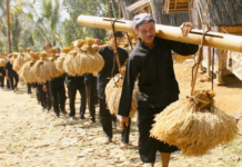 Upacara Adat Sunda & Tradisi Seren Taun: Syukuran Panen Tahunan Upacara Adat Sunda