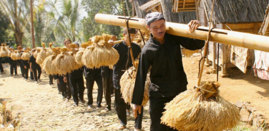 Upacara Adat Sunda & Tradisi Seren Taun: Syukuran Panen Tahunan Upacara Adat Sunda